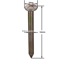 Prego de pesquisa de aço (100mm)