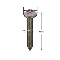 Prego de pesquisa de aço (70mm)